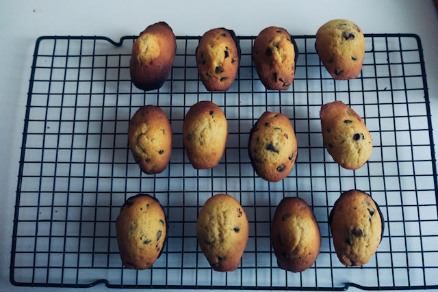 madeleines pépites de chocolat