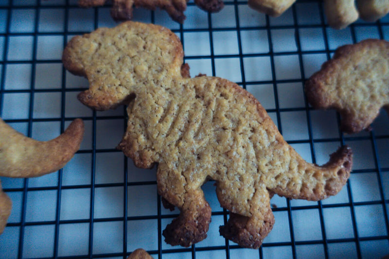 Biscuits dinosaurus faits maison