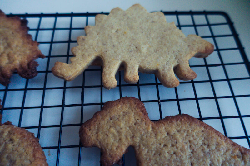 Biscuits dinosaurus faits maison